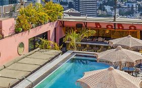 בראון בובו, מבית מלונות בראון